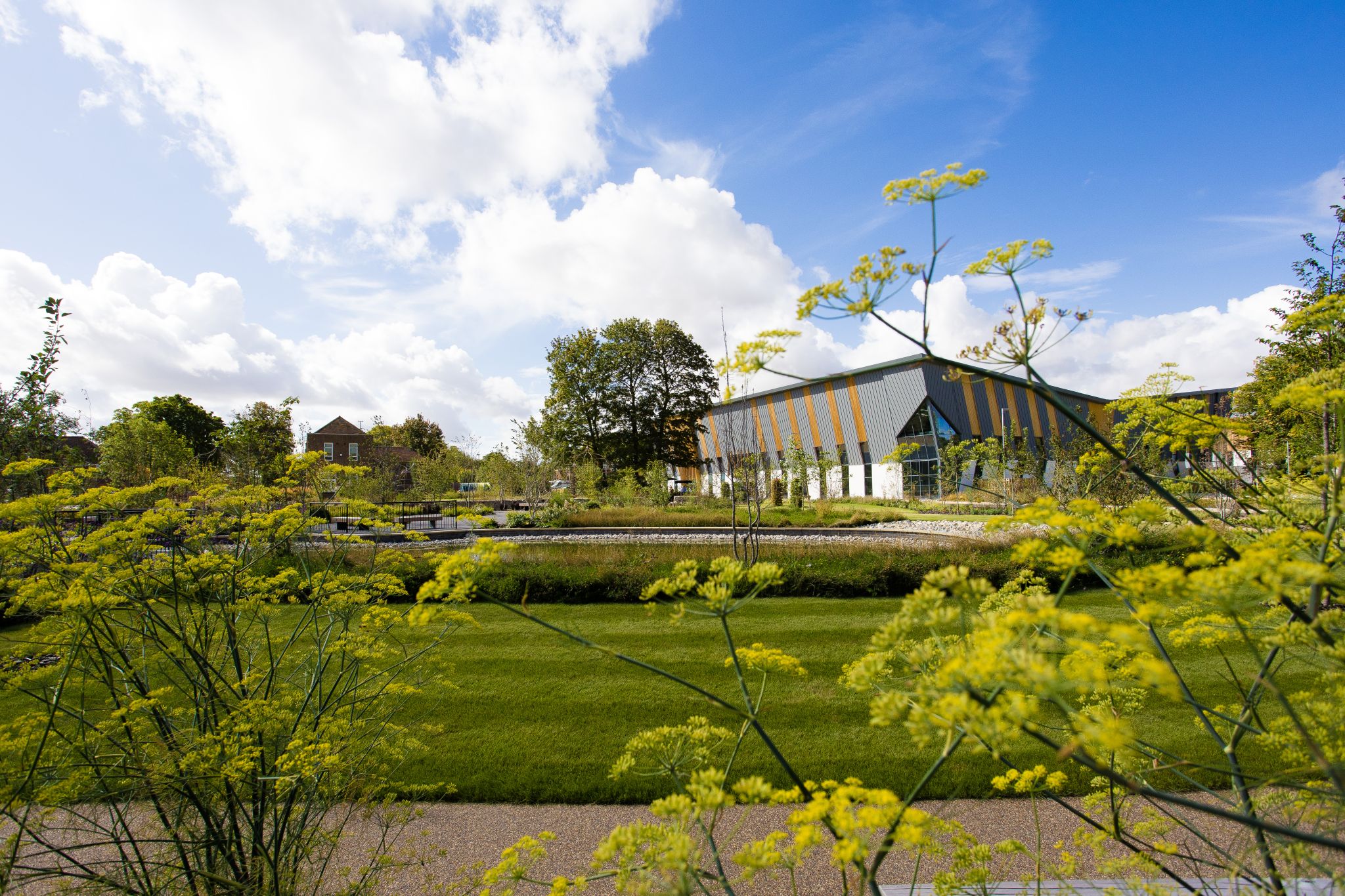 Baynham Meikle Pico Park Oxford